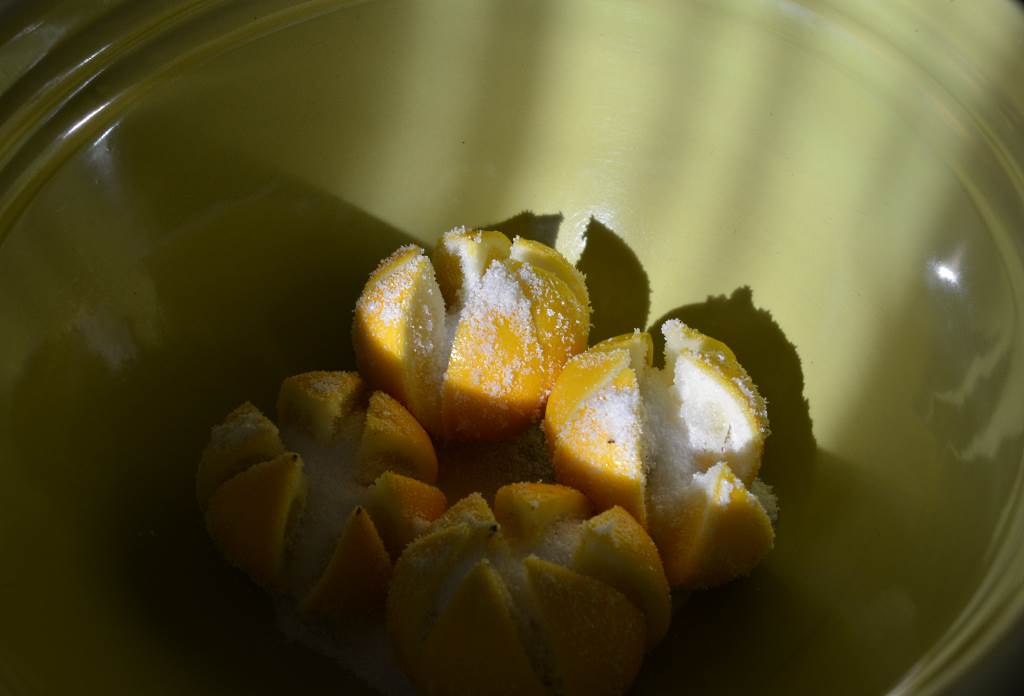 salting-lemons-for preserving