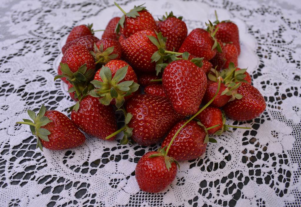 Fresh-strawberries-for-Strawberry-Shortcake